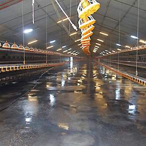 Tijdens het maken van de foto’s op donderdag 19 juli is de door Berkepies ingehuurde spuitploeg bezig stal 1 schoon te spuiten. Stal 1 en stal 2 zijn nagenoeg hetzelfde ingericht met onder meer daglicht via lichtkoepels in het dak.