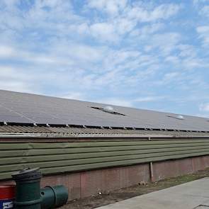 Het dak van stal 1 (foto) ligt net als het dak van stal 2 aan de rechterkant ook vol met zonnepanelen.