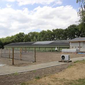 De familie sloopte één van hun twee kooi stallen. De andere stal blijft staan. „De inrichting slopen we er allemaal uit. De stal gebruiken we straks als opslagloods.” De familie hield tot 10 juni leghennen. „De bruine hebben we 100 weken aangehouden. De w