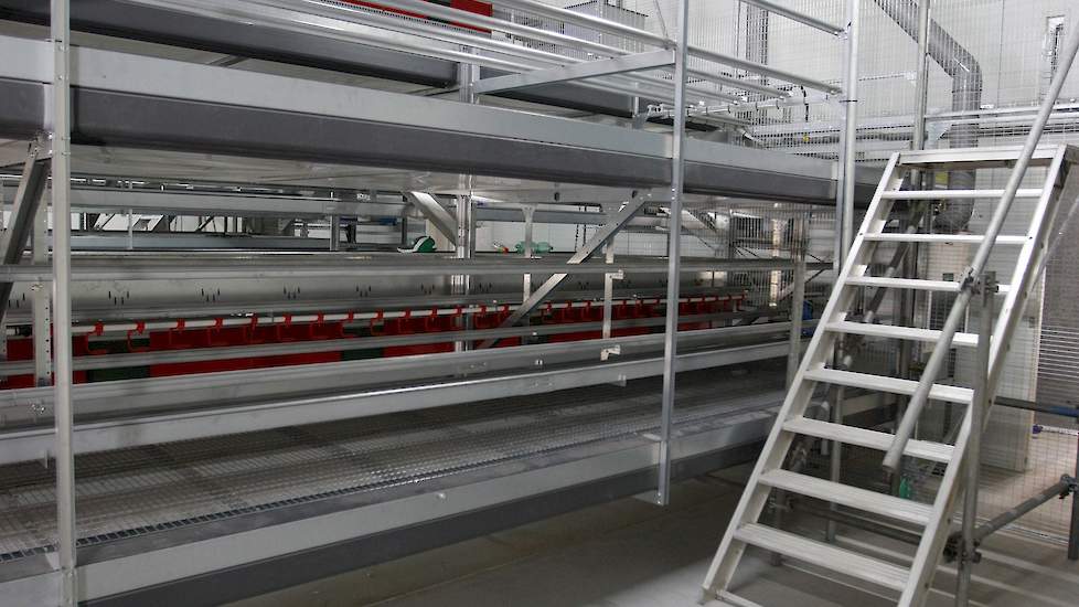 Via dit trapje kan de leghennenhoudster makkelijk op het systeem komen.