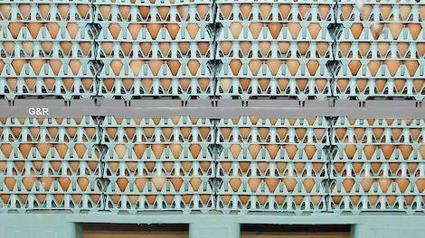 Op 22 juli 2017 werden de eerste zeven pluimveebedrijven geblokkeerd in verband met de vondst van ? de toen nog onbekende stof ? fipronil. Een jaar later is de crisis nog niet voorbij. Pluimveehouders hebben de buik er vol van en willen er niet meer over