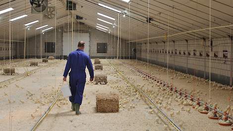 Boeren in Duitsland worden in toenemende mate bekritiseerd. Deze kritiek leidt zowel bij de getroffen boeren als ook bij hun families tot een beschadigd gevoel van eigenwaarde, onzekerheid, stress en woede.