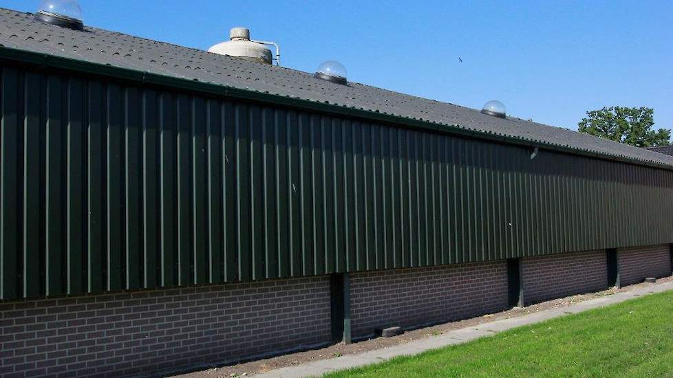 Sinds het voorjaar van 2017 heeft hij op een van zijn opfokstallen lichtkoepels gemonteerd. „Dit SunBro-systeem van vleeskuikenhouder Paul Grefte, kun je op bestaande stallen toepassen zonder hak- en sloopwerk en het kon aangesloten worden op mijn bestaan