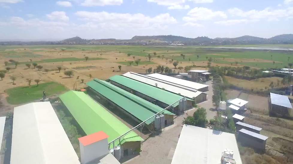 Maranatha Farm Ethiopië