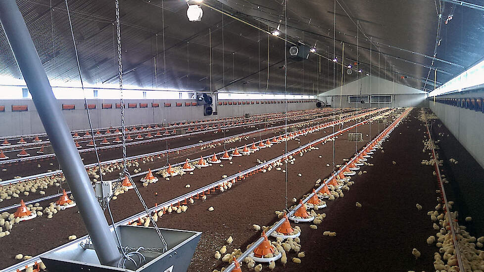 Big Dutchman › Video: Warmtewisselaar zorgt voor 31% fijnstofreductie