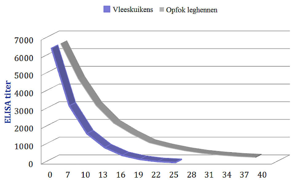 Afname van maternale antilichamen in verschillende types pluimvee.