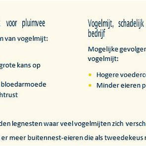 TIP: Laat u goed adviseren over de aanpak van vogelmijt. Zorg ervoor dat uw behandeling in lijn is met de wettelijke eisen en is afgestemd met uw afnemer(s)!