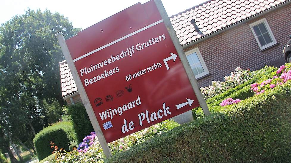 Interesse in een bezoekje aan de wijngaard en of het pluimveebedrijf van John en Virginie Grutters? Kijk op www.wijngaarddeplack.nl voor de mogelijkheden.
