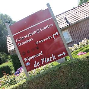 Interesse in een bezoekje aan de wijngaard en of het pluimveebedrijf van John en Virginie Grutters? Kijk op www.wijngaarddeplack.nl voor de mogelijkheden.