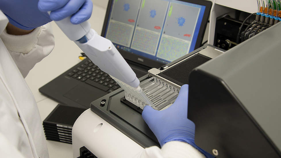 In het genomica-lab worden de nieuwste DNA-technieken op genetisch niveau toegepast. Met een grote nauwkeurigheid kan hiermee de genetische waarde van de selectiekandidaten voorspeld worden om de beste kippen te selecteren die in staat zijn voorspelbare p