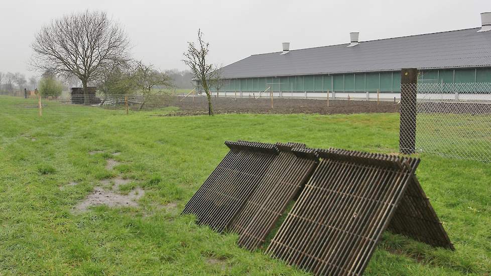 Huis in ’t Veld gebruikt de roosters uit de oude leghennenstallen als schuilruimte voor de hennen in de uitloop. Het aanbieden van schuilplekken is één van de criteria voor biologisch. De familie heeft 4,8 hectare uitloop. Tussen twee rondes moet de uitlo