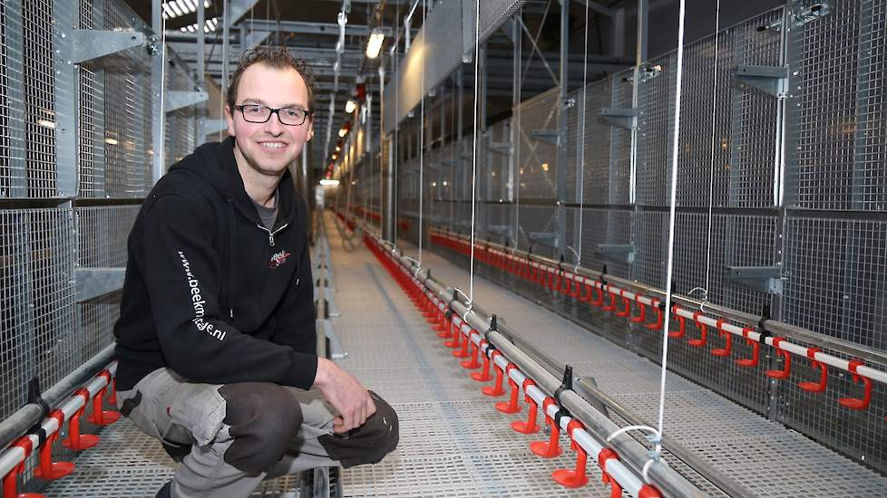 Jurrian Romijn bouwde een stal voor 30.600 biologische opfokhennen.