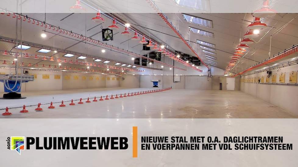 Nieuwe vleeskuikenstal met onder andere daglichtramen en voerpannen met VDL schuifsysteem