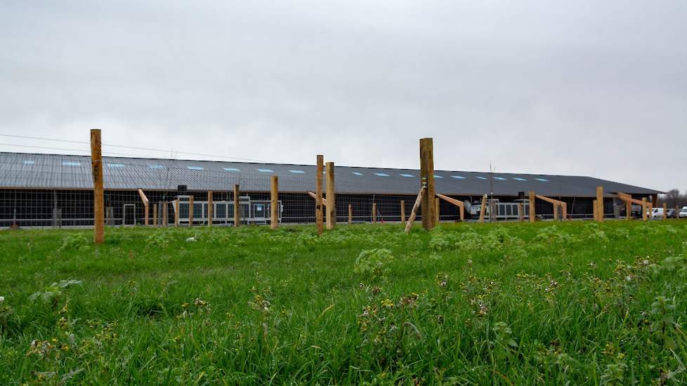 Zowel de binnen- als buitenomgeving wordt ingericht op een manier die aansluit op de natuurlijke leefomgeving van de kip.