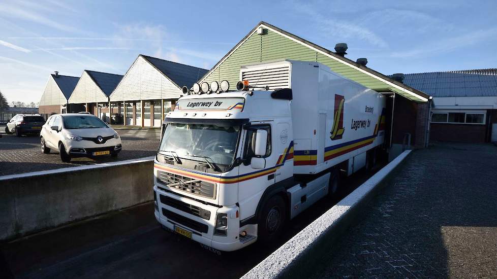 Broederij Lagerweij neemt broedeieren af van twintig Nederlandse vermeerderaars en levert vleeskuikens aan Nederlandse en Duitse vleeskuikenhouders. Wekelijks produceert de broederij 2,2 miljoen kuikens waarvan 75 procent reguliere vleeskuikens en 25 proc