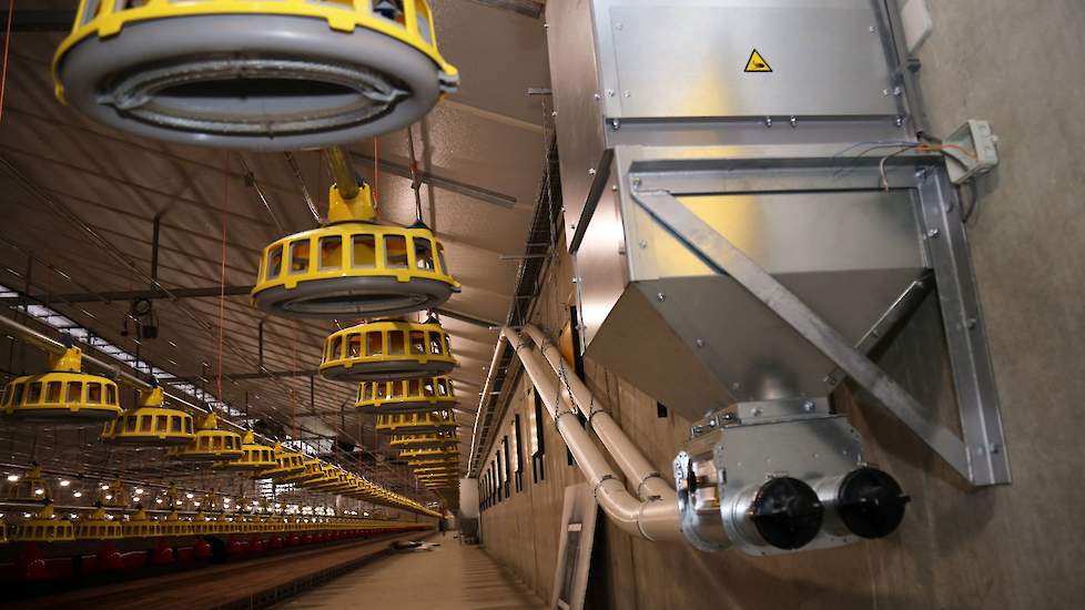 Beerens voert vanuit het midden van de 105 meter lange stal. Voor in de stal zit een kleine opslagbunker en in het midden in de stal staat de weger. „In de meeste stallen staat de weger buiten de stal zodat een monteur er beter bij kan bij een storing. Ik