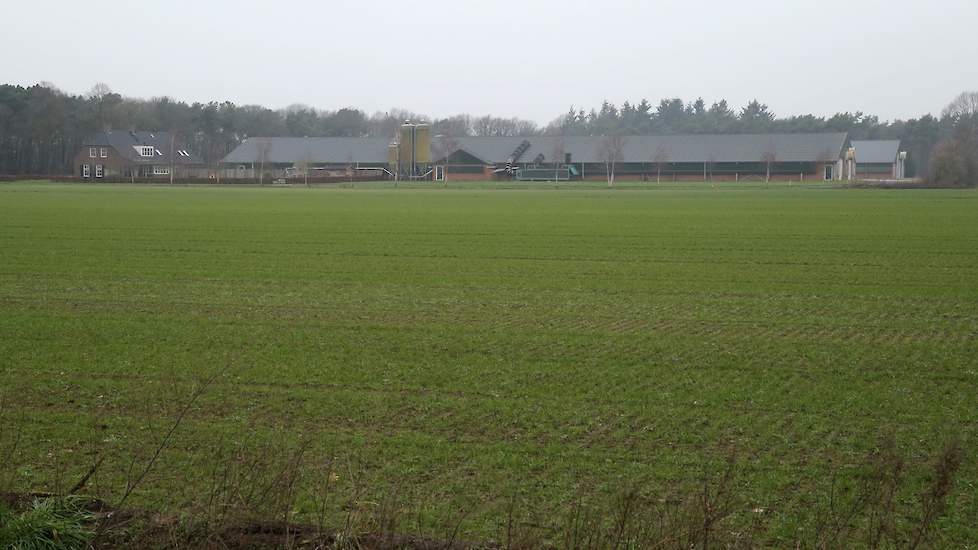 Op die locatie, op 400 honderd meter afstand van het andere bedrijf, nam Beerens in 1996, 2003, 2006 en 2009 een nieuwe stal in gebruik.