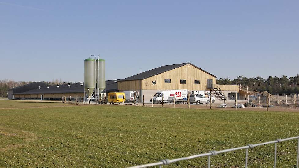 Door de geïmpregneerde grenen houten planken ziet de nieuwe stal van 36 (inclusief uitloop) bij 140 meter er fraai uit. „In overleg met het bouwbedrijf hebben we gekozen voor materialen die goed aansluiten bij de omgeving”, zegt Maureen. Naast de stal zit