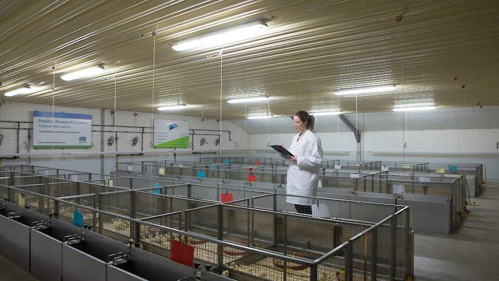 Het Poultry Research Centre van Coppens Diervoeding in Vlierden.