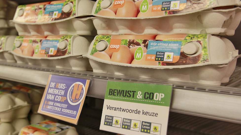 inhalen Van God profiel Prijs van eieren in supermarkt nog nooit zo hoog | Pluimveeweb.nl - Nieuws  voor pluimveehouders