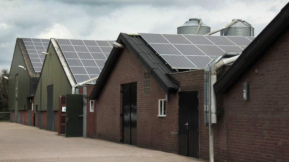 De panelen op de kuikenstallen in Oirschot leveren een jaaropbrengst op van 479.898 KWh. Door de panelen wordt het bedrijf zelfvoorzienend in het elektriciteitsverbruik en kan er ook nog 50 procent worden teruggeleverd aan het net.