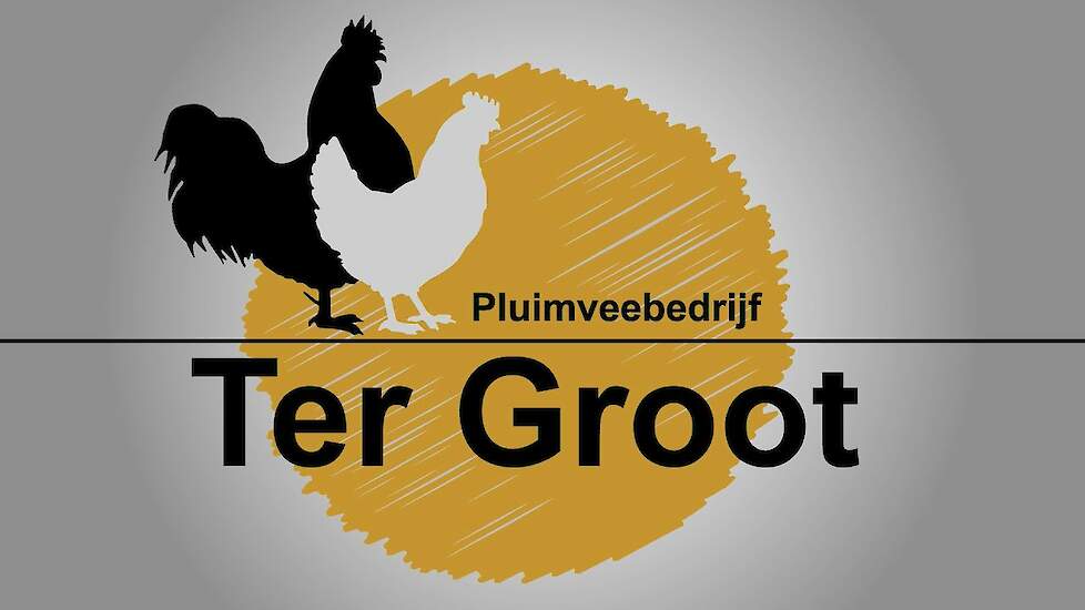 Pluimveebedrijf ter Groot in vogelvlucht.