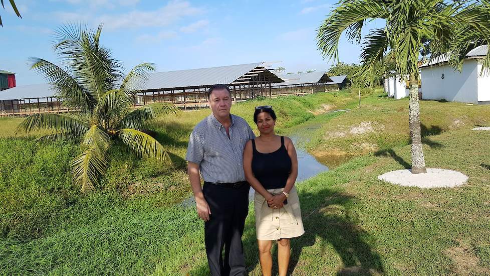 Gerard (59) en zijn vrouw Asha (53) van den Bergh hebben een eendenintegratie in Lelydorp in Suriname. Ze hebben een eigen broederij, voerfabriek en tien stallen voor 5.000 eenden.