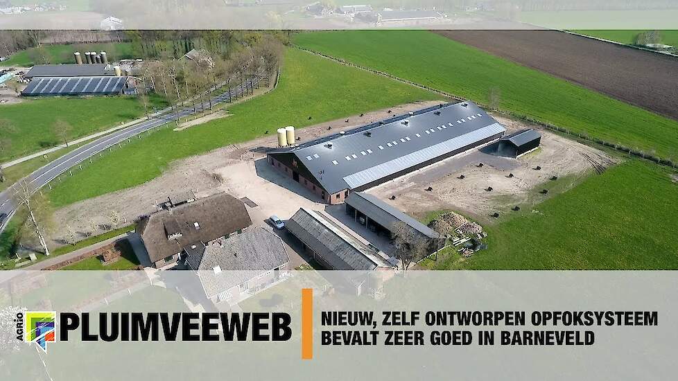 Nieuw, zelf ontworpen opfoksysteem bevalt zeer goed in Barneveld