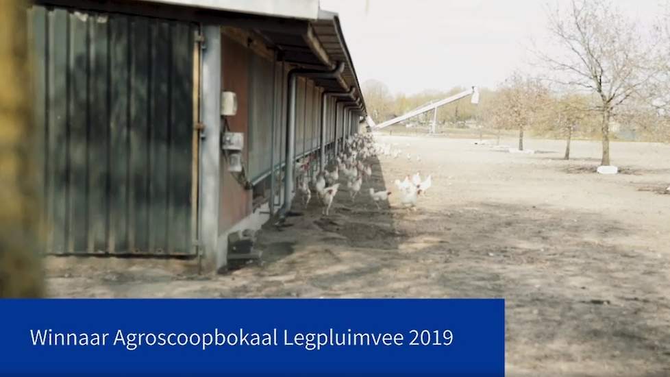 Agroscoopbokaalwinnaar Legpluimvee 2019: Pluimveebedrijf Bouma