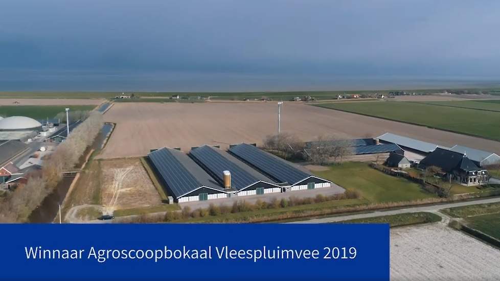 Agroscoopbokaalwinnaar Vleespluimvee 2019: Waadhin b.v.