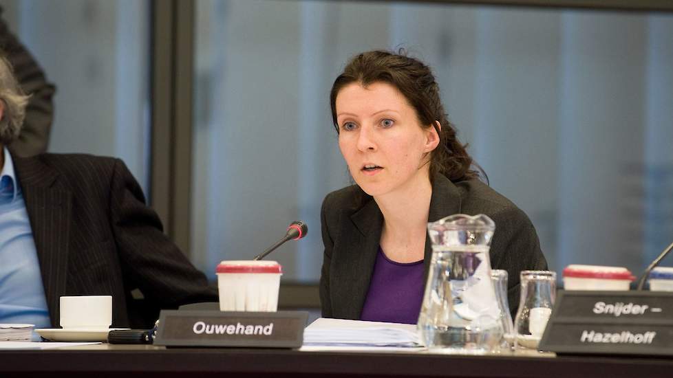 Esther Ouwehand weigerde deze week steun uit te spreken voor de varkenshouder in Boxtel en stelde zelfs dat hij vervolgd zou moeten worden door Justitie vanwege het 'overtreden van de wet'.