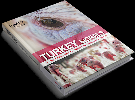 Cover Turkey Signals
