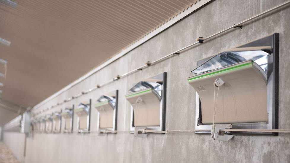 De stallen zijn voorzien van lichtplaten, luchtinlaatventielen met een gootje voor de minimum ventilatie en hangende lampen op schaduwplekken te voorkomen.