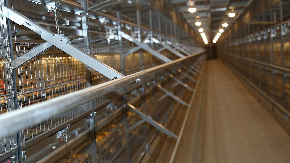 Verkennis koos voor het Big Dutchman Primus opfokvolièresysteem met aanvliegbuizen.