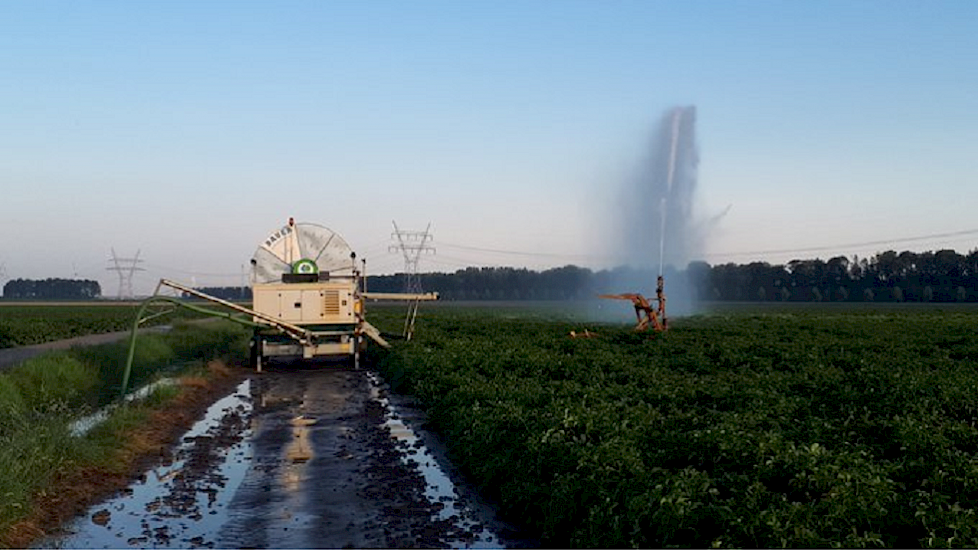 Akkerbouwer Jaap Lodders beregent de consumptieaardappelen. Uit een bron wordt een sloot volgezet, de haspel zuigt uit een sloot het water op. De aardappelen hebben nu voldoende water om de ergste hitte te overleven, hopen we", legt hij uit op Twitter.