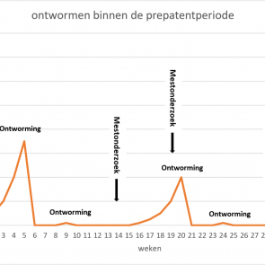 Figuur 2 Ontwormen op basis van ernst van infectie, binnen de prepatent periode. De infectiedruk blijft op deze manier lager, terwijl het aantal ontwormingen gelijk gebleven is. Betreft fictieve data.