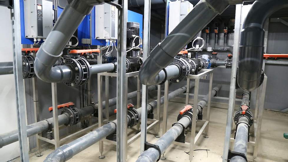 Het Triple EEE systeem van Inno+ reinigt eerst alle uitgaande ventilatielucht in de luchtwasser en reduceert hiermee ammoniak, fijnstof, geur en kiemen. De lucht wordt vrijgemaakt van kiemen en stof waardoor de kans op eventuele besmetting van de jongere