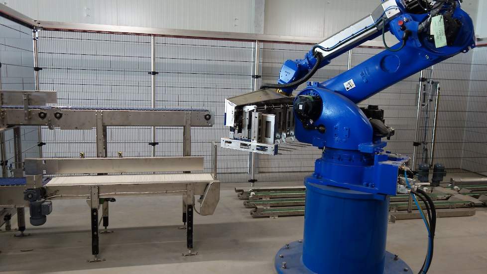 Een robot pakt de stapels met trays automatisch op pallets.