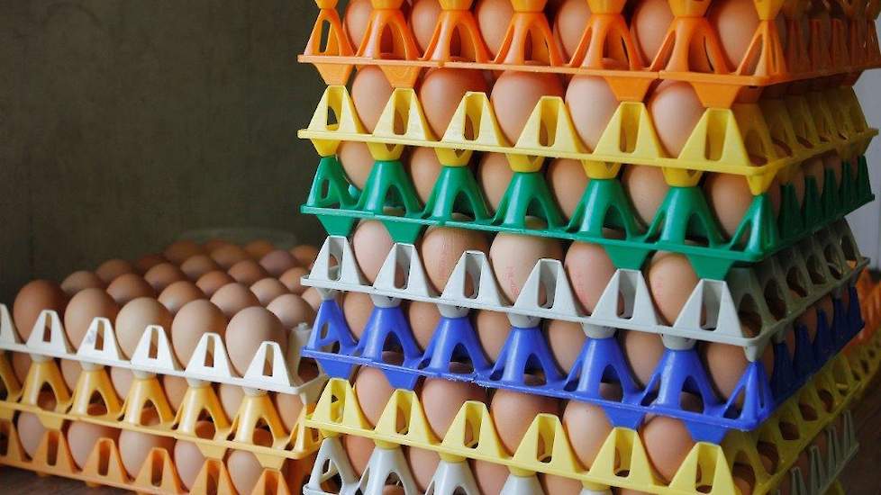 In de loop van jaren zijn diverse kleuren eierrekjes verzameld die familie Hendriks gebruikt voor de huisverkoop.  Overschakelen op 1 ster eieren is niet mogelijk. Een uitloop moet inpandig want de afstand tussen de stallen is maar 8 meter. Dan kunnen ze