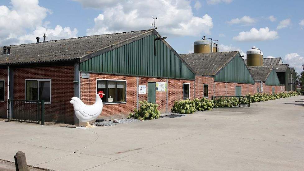 Pluimveebedrijf Hendriks ligt aan de Polderdijk 1 in Netersel, in de Brabantse Kempen. Adriaan en Monique Hendriks – Schilders houden 100.000 scharrelhennen en bewerken 8 hectare akkerbouw. Links de twee stallen uit 1998, rechts de etagestal uit 2010.