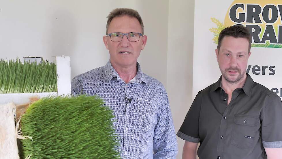 Natuurlijk afleidingsmateriaal; Stable Green. Pluimvee Innovatieprijs 2019