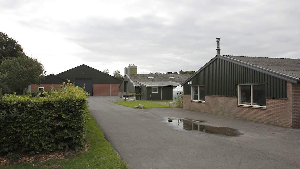 Links de stal die de familie nieuw bouwde in 2011 voor 28.000 biologische opfokhennen. In de kleine stal er naast houdt de familie sinds 2012 12.000 biologische opfokhennen. Voor die tijd hield de familie konijnen in die stal. De kleine stal op de voorgro