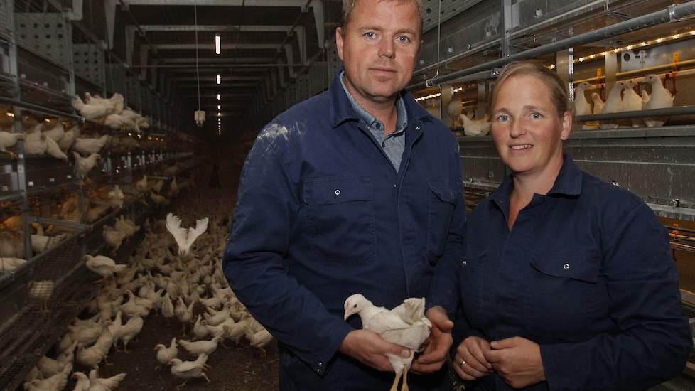 Jaap (40) en Corine (37) bouwden een nieuwe stal voor 30.000 biologische opfokhennen. Na de nieuwbouw fokken ze 70.000 biologische leghennen in drie stallen op. In hun beide oude stallen, die ze in 2011 en 2012 in gebruik namen werken ze met een Nivo Vari