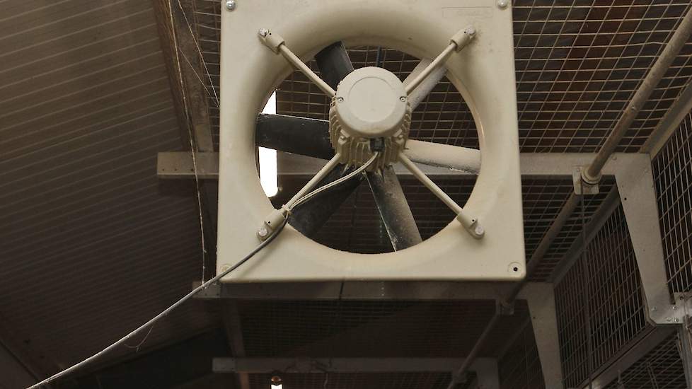 In de nieuwe stal hangt langs iedere zijkant een ondersteuningsventilator. Deze gebruikt Verwolf de eerste week om warme lucht te verplaatsen.