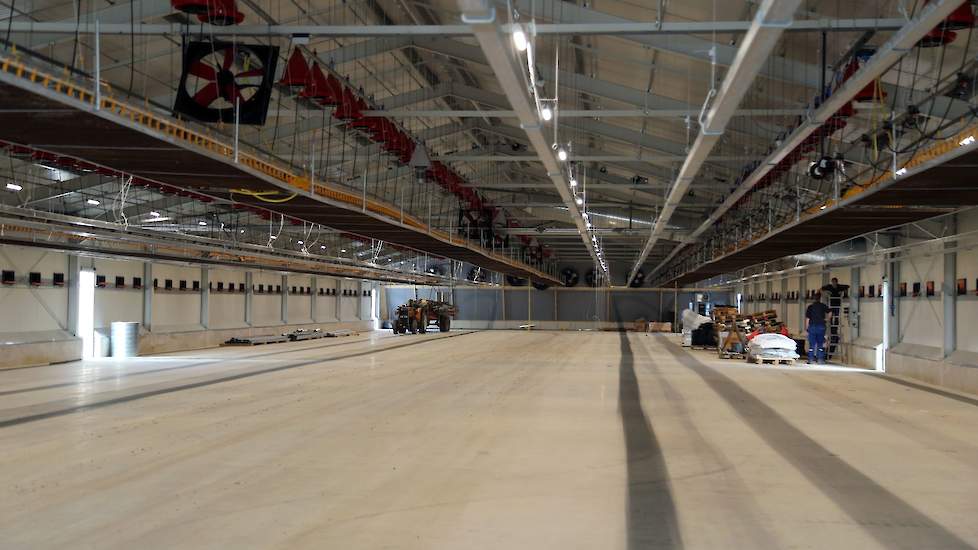 Voor afscheiding van de hanenafdelingen gaat Beijer werken met bouwhekken afhankelijk van de hoeveelheid hanen per koppel.