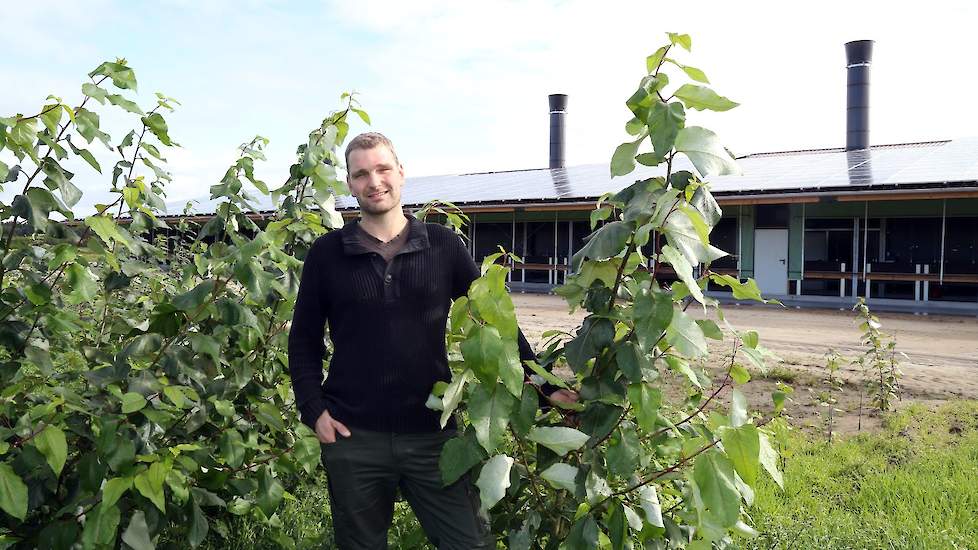 Engling plantte de uitloop vol met struiken, die de hennen beschutting bieden. „Ik heb dat bij een andere biologische leghennenhouder gezien. Daar liepen er heel veel hennen wijdverspreid in de uitloop. Veel meer dan in uitlopen zonder struiken of een and