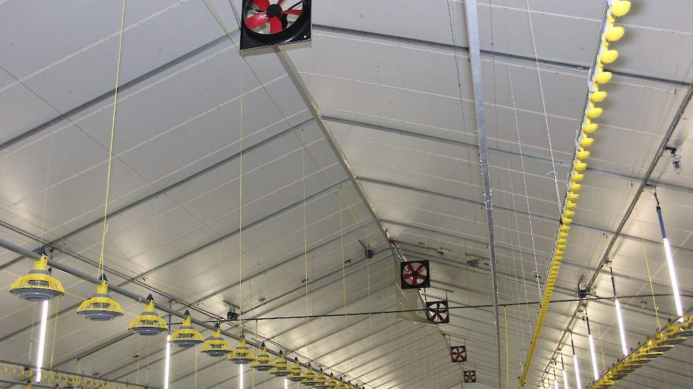 De inblaas is volgens het zogeheten Louvre systeem. De inblaaslucht stroomt langs het plafond tegen een zeil aan en wordt van daaruit met ventilatoren tegen en voor- en de achterwand geblazen. Daar weerkaatst de lucht tegen en komt terug op dierniveau.