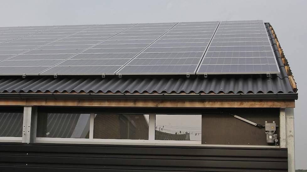 Door de zonnepanelen is Scherff zelfvoorzienend qua stroom. Via rolgordijnen kan Scherff de stal overdag verduisteren indien hij moet enten of kuikens moet laden.