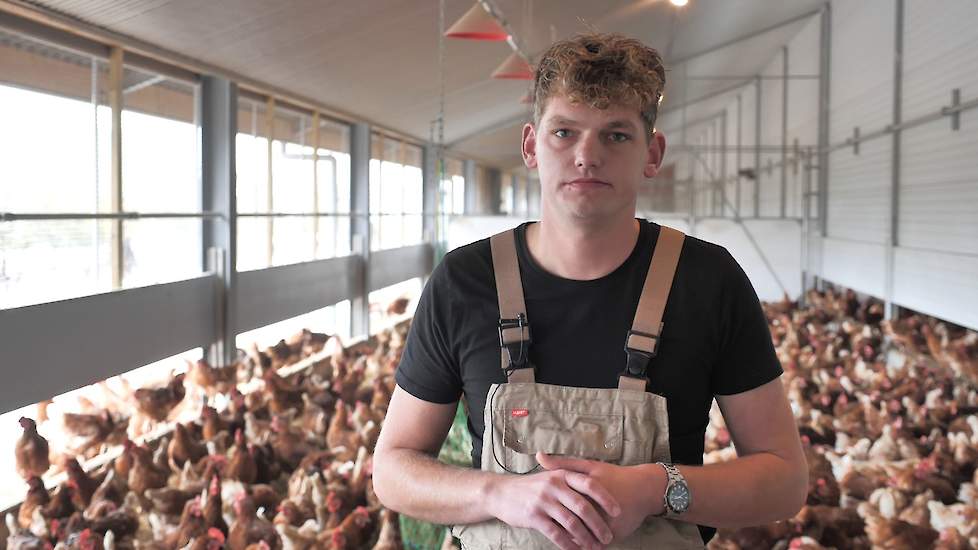 „Houderijvormen van leghennen worden vooral door marketing bepaald, niet op basis van dierenwelzijn”, zegt Alrik Visscher.
