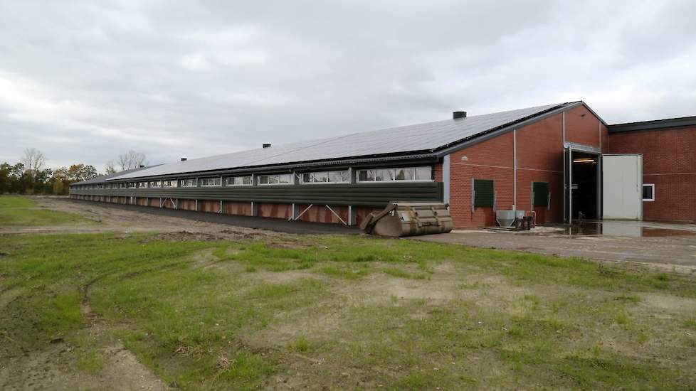 Op het dak van stal 1 liggen zonnepanelen waardoor de familie deels zelfvoorzienend is qua energieverbruik.